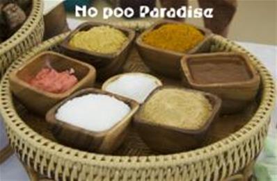 No Poo Paradise (100g)