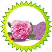 Rose de Damas (50g)