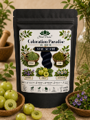 Coloration Noir bleuté (100g)