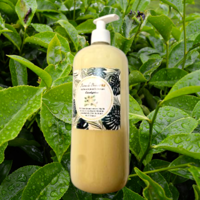 Gel lavant Reine de Beauté  Tea Tree (visage cheveux & corps) 1 litre