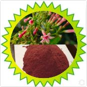 Quinquina Rouge (100g)