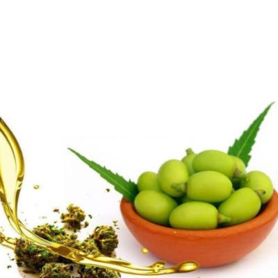 Huile de Neem (100ml)