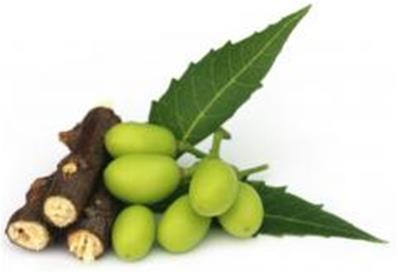 Neem 100g