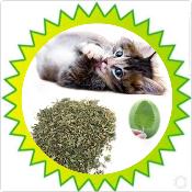 Cataire (100g)
