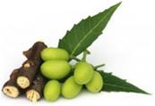 Neem 100g