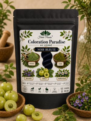 Coloration Noir bleuté (100g)
