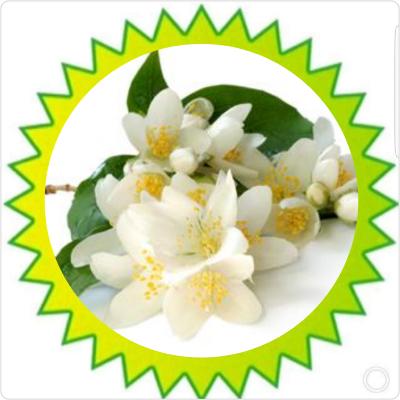 Jasmin (100g)
