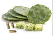 Nopal  Extra  (90 gélules) 