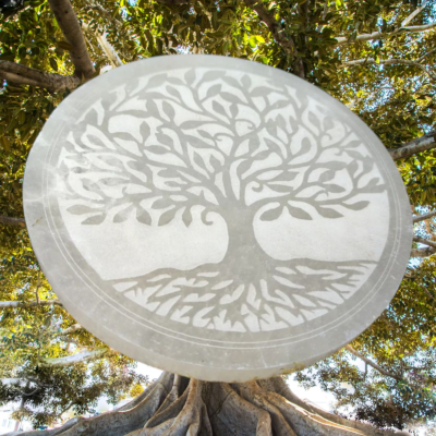 Plaque de charge Sélénite grand modèle (Arbre de vie) 