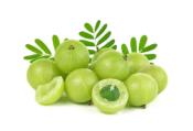 Amla Bio (125 gélules)